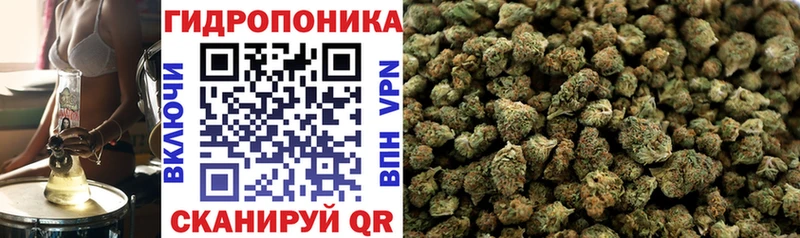 Марихуана MAZAR  Купить где  Карабаш 